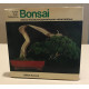 Bonsai arbres miniatures japonais pour votre interieur