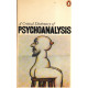 A Critical Dictionary of Psychoanalysis