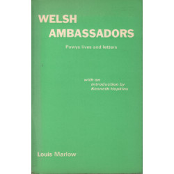 Welsh ambassadors