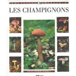 Les champignons