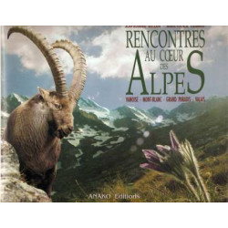 Rencontres au coeur des alpes