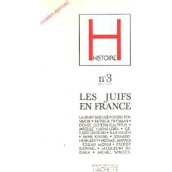 Histoire n° 3 : les juifs en france