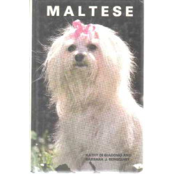 Maltese