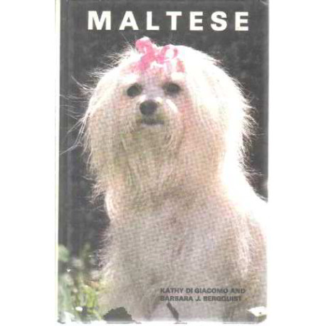 Maltese