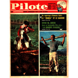 Revue pilote n° 201