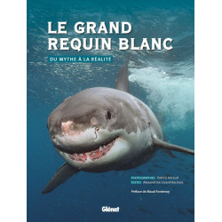 Le grand requin blanc: Du mythe à la réalité