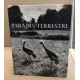 Paradis terrestre /photographies d'izis bidermanas