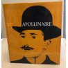 Apollinaire chronique d'un vie