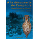 A la découverte de l'amphore - Classification et histoire