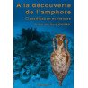 A la découverte de l'amphore - Classification et histoire