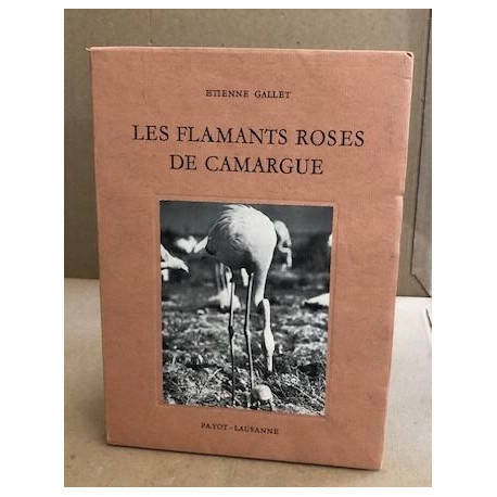 Les flamants roses de Camargue/53 photographies h-t de l'auteur