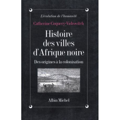 Histoire Des Villes D'Afrique Noire: Des origines à la...