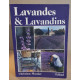 Lavandes et lavandins