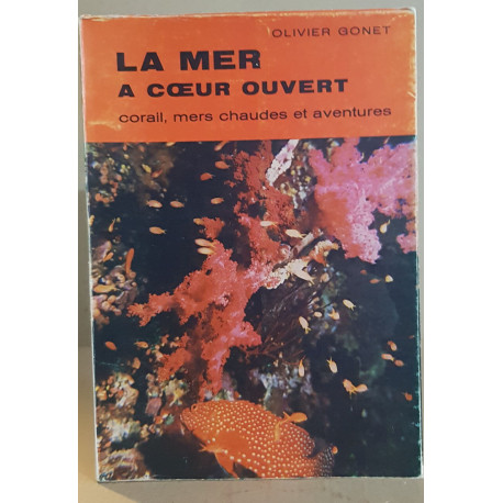 La mer à coeur ouvert corail mers chaudes et aventures