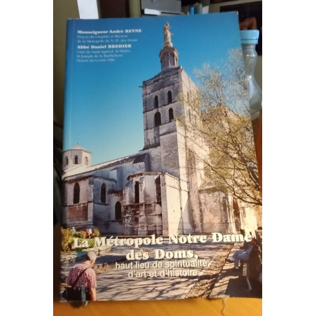 La métropole notre dame des doms haut lieu de spiritualité d'art...