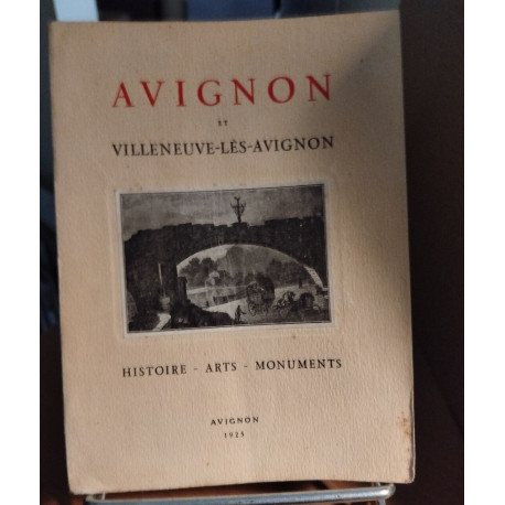 Avignon et villeneuve les avignon / histoire -arts-monuments