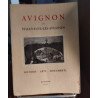 Avignon et villeneuve les avignon / histoire -arts-monuments