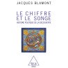 Le Chiffre et le Songe: Histoire politique de la découverte