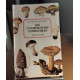 Les champignons comestibles / illustrations en couleurs