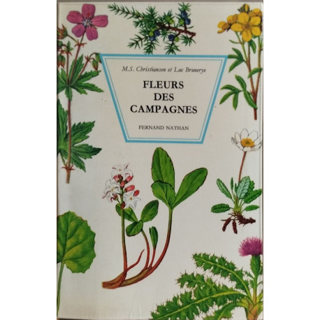 Fleurs de campagnes