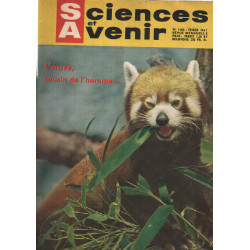 Sciences et avenir n°168 L'ours cousin de l'homme