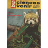 Sciences et avenir n°168 L'ours cousin de l'homme