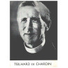 Teilhard de chardin