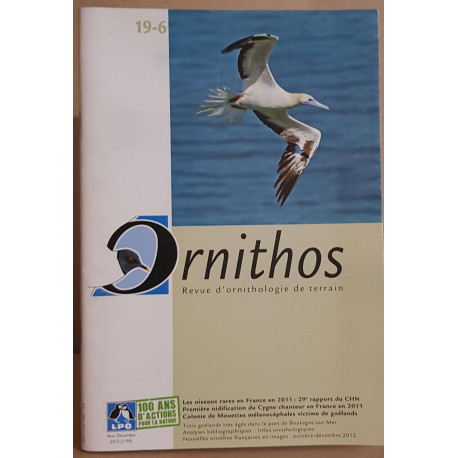 Ornithos revue d'ornithologie de terrain N°19-6 (N°98)